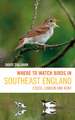 Where to Watch Birds in Southeast England: Essex, London and Kent