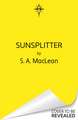 Sunsplitter: The unmissable sequel to spicy romantasy Voidwalker from the Sunday Times bestseller