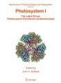 Photosystem I: The Light-Driven Plastocyanin: Ferredoxin Oxidoreductase