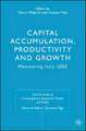 Capital Accumulation, Productivity and Growth: Monitoring Italy 2005