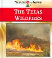 The Texas Wildfires