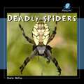 Deadly Spiders