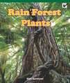 Rain Forest Plants