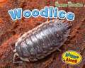 Woodlice