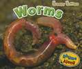 Worms