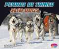 Perros de Trineo/Sled Dogs