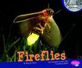 Fireflies