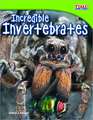 Incredible Invertebrates