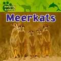 Meerkats