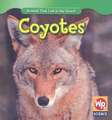 Coyotes