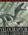 Velociraptor and Other Raptors and Small Carnivores