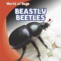 Beastly Beetles