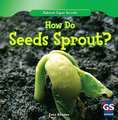 How Do Seeds Sprout?