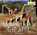 Meet the Giraffe