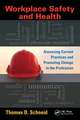 Workplace Safety and Health: Assessing Current Practices and Promoting Change in the Profession