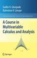 A Course in Multivariable Calculus and Analysis