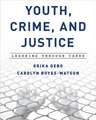 YOUTH CRIME AMP JUSTICE