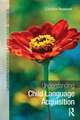 Understanding Child Language Acquisition