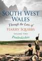 South West Wales Through the Lens of Harry Squibbs