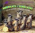 Meerkats/Suricatas: Life in the Mob/Vida En La Colonia