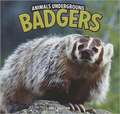 Badgers