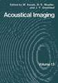 Acoustical Imaging