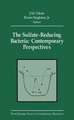 The Sulfate-Reducing Bacteria: Contemporary Perspectives