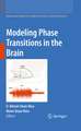 Modeling Phase Transitions in the Brain