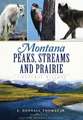 Montana Peaks, Streams and Prairie