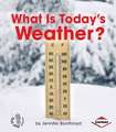 What Is Today's Weather?