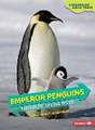 Emperor Penguins: Antarctic Diving Birds