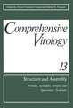 Comprehensive Virology Volume 13: Structure and Assembly: Primary, Secondary, Tertiary, and Quaternary Structures