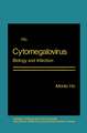 Cytomegalovirus: Biology and Infection