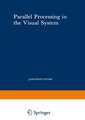 Parallel Processing in the Visual System: The Classification of Retinal Ganglion Cells and its Impact on the Neurobiology of Vision