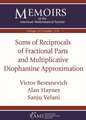 Sums of Reciprocals of Fractional Parts and Multiplicative Diophantine Approximation