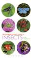 Pocket Guide to Insects