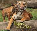 Hall, M: Tigers and Their Cubs