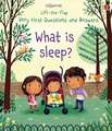 What is sleep: Very First Lift-the-Flap Questions & Answers