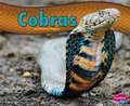 Cobras