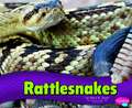 Rattlesnakes