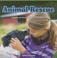 Animal Rescue: Represent and Solve Problems Involving Addition