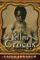 Yellow Crocus