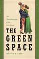 The Green Space – The Transformation of the Irish Image