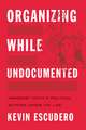 Organizing While Undocumented – Immigrant Youth`s Political Activism under the Law