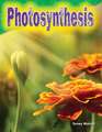 Photosynthesis (Grade 3)