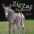 Zigzag Zooborns