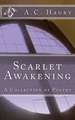 Scarlet Awakening: The Sorority Recruitment Survival Guide