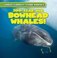 200-Year-Old Bowhead Whales!