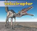 Velociraptor