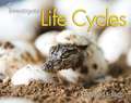 Life Cycles